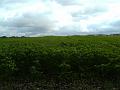 wandeling 22-10-2017_(42)
